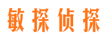 昭觉市侦探调查公司